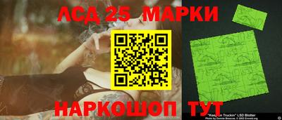стафф Будённовск
