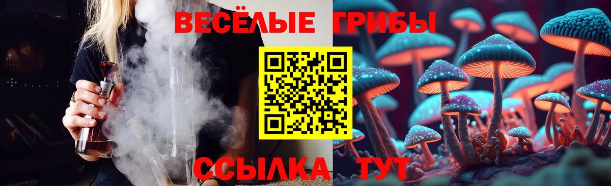 Псилоцибиновые грибы GOLDEN TEACHER  Вход с VPN  Ржев 